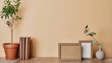 Essa dica com papel alumínio salvou minhas plantas das pragas