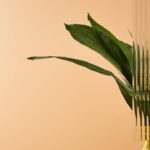 O suporte para plantas em crochê que mudou o clima da minha casa