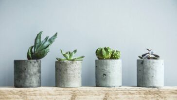 O segredo sustentável que virou tendência nos jardins urbanos