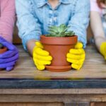 A nova mania sustentável dos jardins tem cheiro forte e custo zero