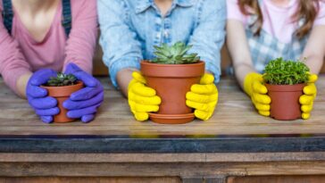 A nova mania sustentável dos jardins tem cheiro forte e custo zero