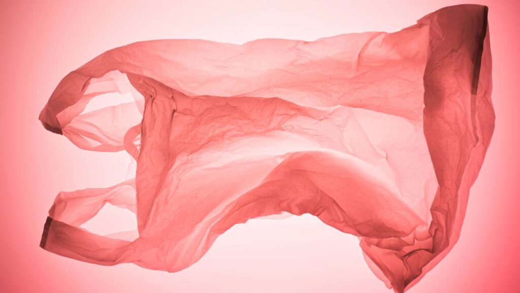 Esse acessório simples está revolucionando a organização da cozinha