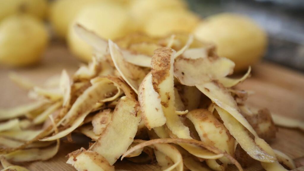 O truque sustentável que está economizando nas cozinhas brasileiras