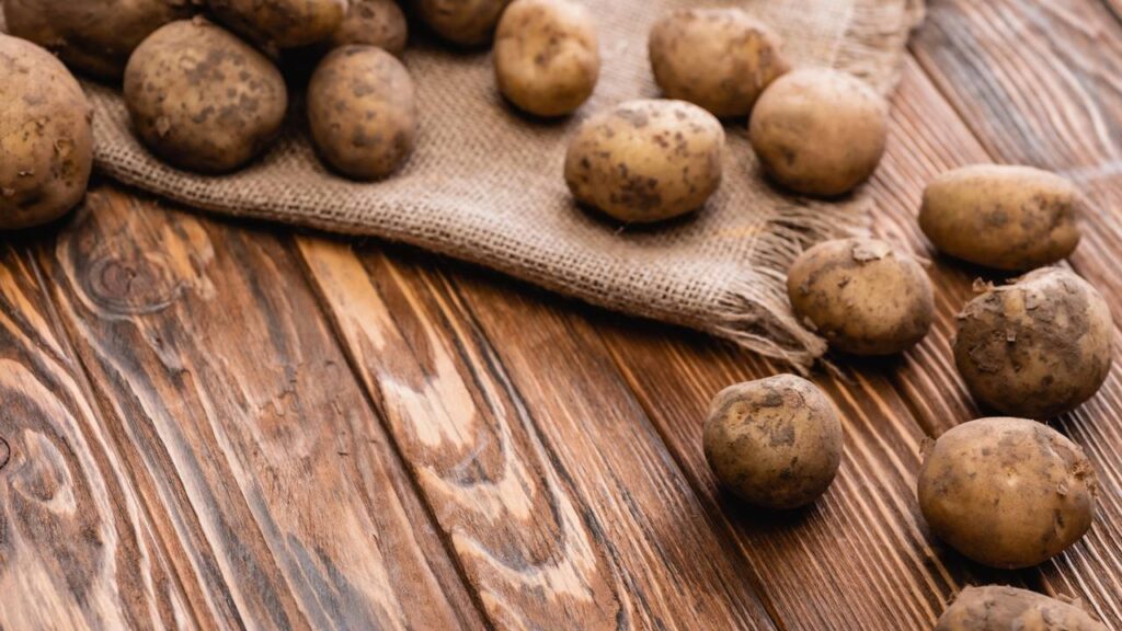 O truque sustentável que está economizando nas cozinhas brasileiras