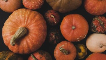 A melhor forma de cozinhar abóbora para que não perca seus nutrientes