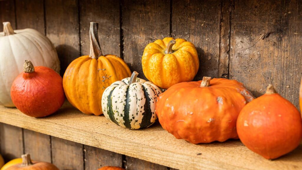A melhor forma de cozinhar abóbora para que não perca seus nutrientes