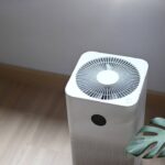 O que pouca gente faz no inverno, mas transforma a qualidade do ar