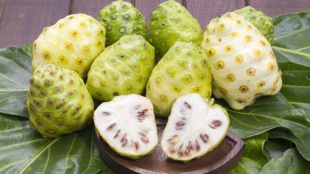 Essa fruta exótica tem um cheiro tão forte que ratos fogem na hora