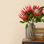 Essa técnica milenar de Feng Shui está conquistando os jardins do Brasil