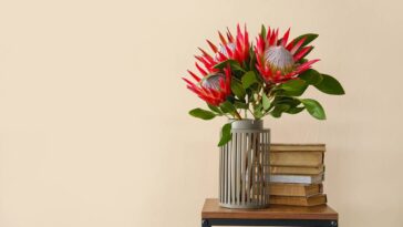 Essa técnica milenar de Feng Shui está conquistando os jardins do Brasil