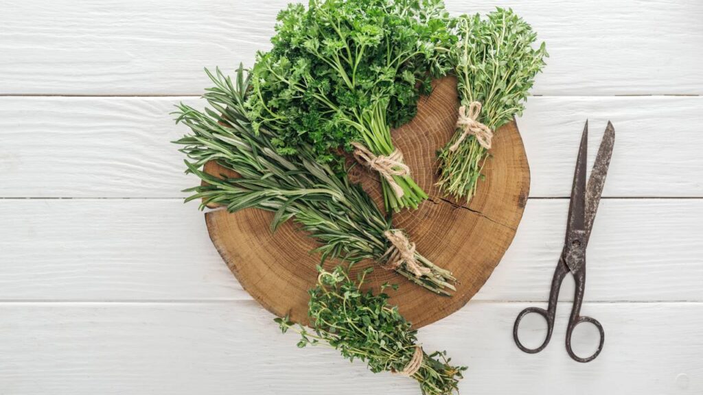 5 dicas de poda para deixar seu alecrim mais resistente e aromático