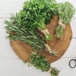 5 dicas de poda para deixar seu alecrim mais resistente e aromático