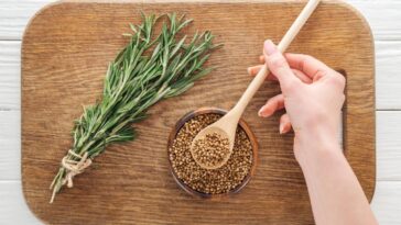 Alecrim no Feng Shui, a técnica que atrai boas energias e limpa o ambiente