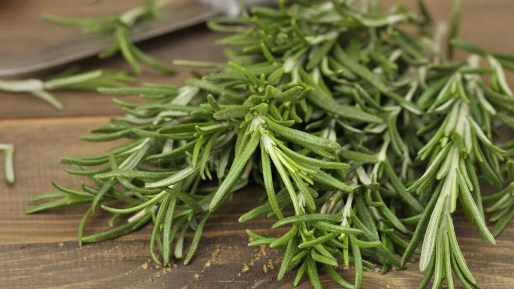 Essa mistura natural está bombando entre quem busca um lar mais equilibrado