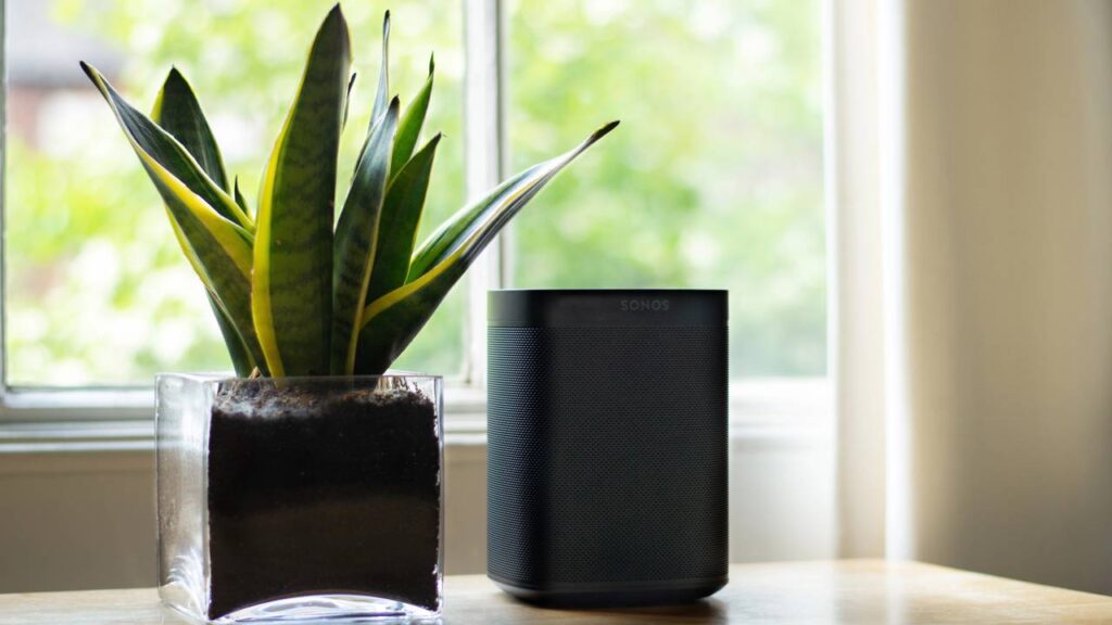 Essa técnica com folhas cortadas está bombando entre os jardineiros profissionais