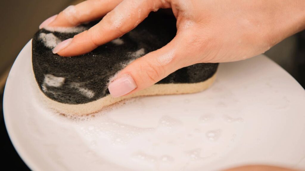 A forma mais segura de manter a esponja da pia livre de bactérias