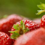 O amigurumi queridinho das crocheteiras para treinar sem frustração