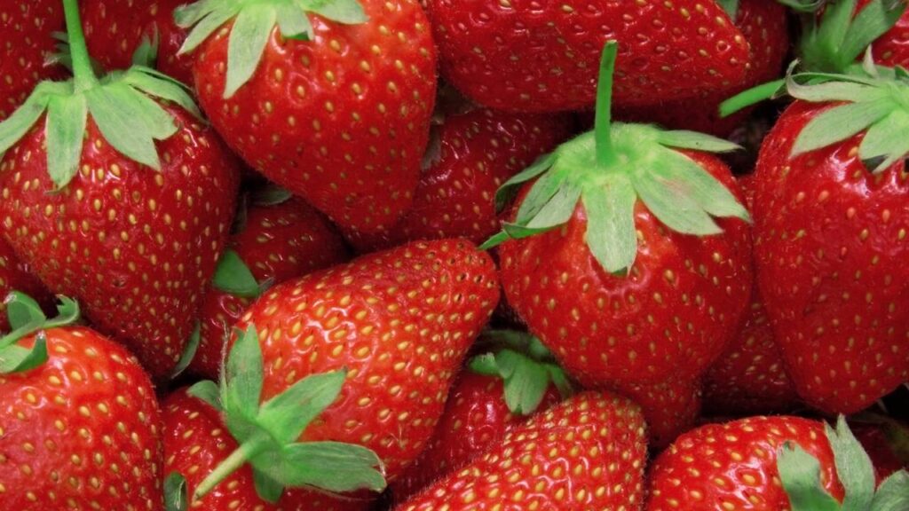 4 passos para transformar morangos comuns em uma sobremesa requintada