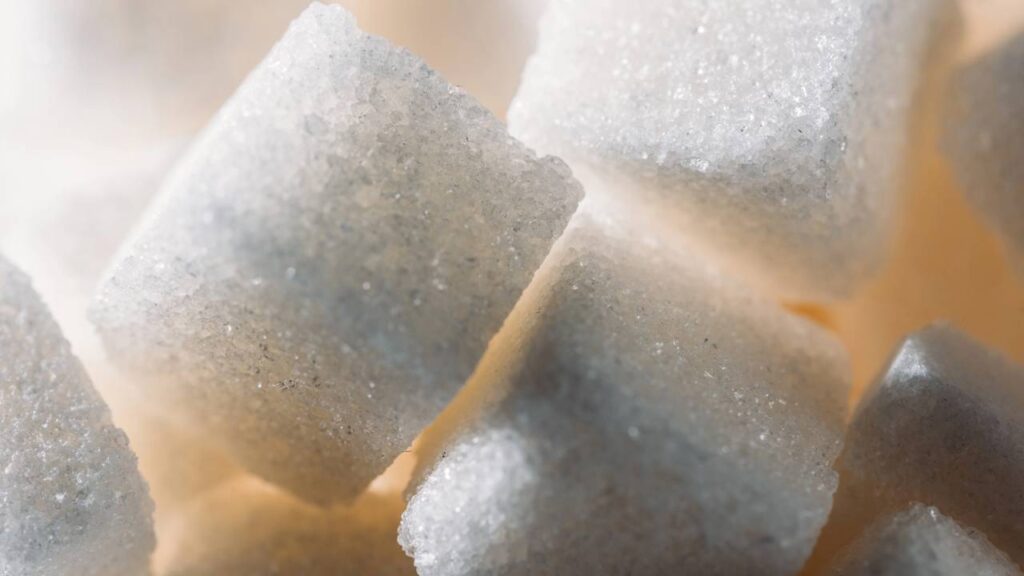 Essa mistura simples de cozinha acabou com os mosquitos da minha cozinha em minutos