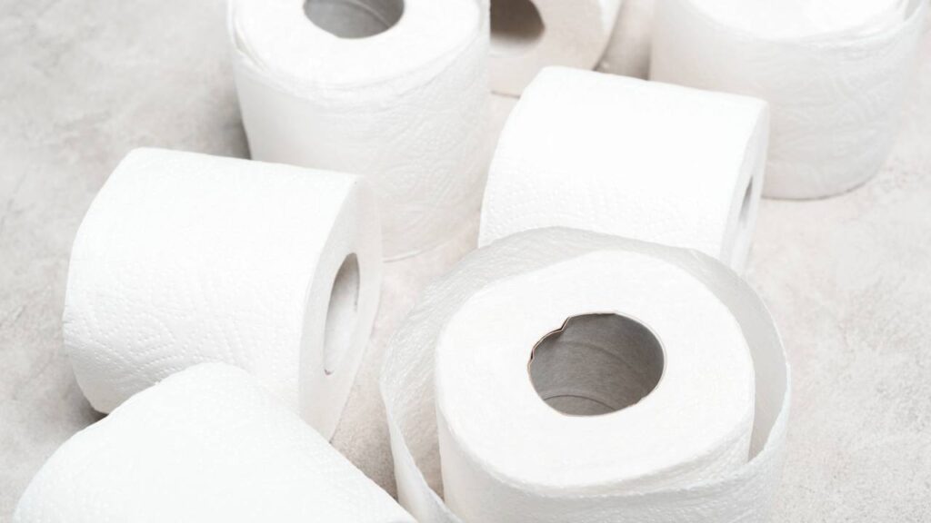 O ritual noturno que protegeu minha casa de mosquitos e insônia