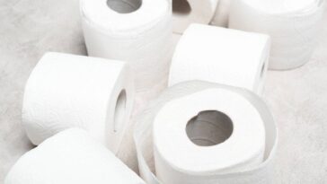 O ritual noturno que protegeu minha casa de mosquitos e insônia