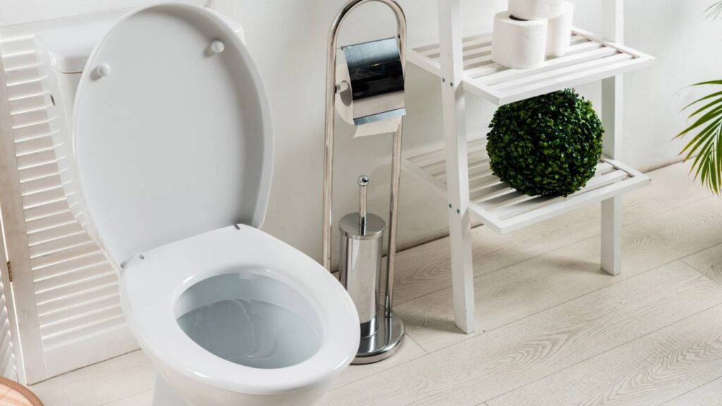 Sal grosso no vaso sanitário, para que serve e como usar em casa