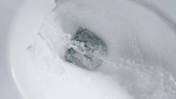 Adeus vaso encardido! Essa solução caseira é o novo xodó das donas de casa