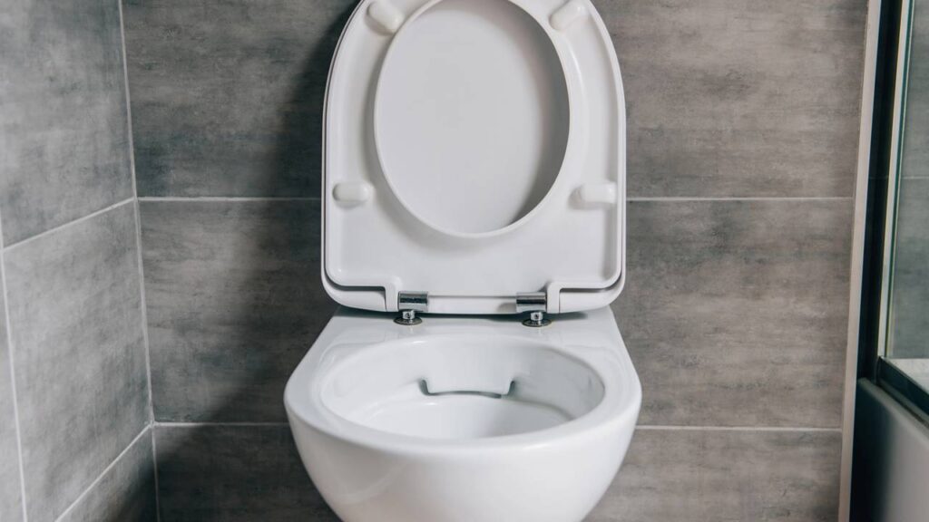 Sal grosso no vaso sanitário, para que serve e como usar em casa