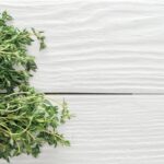 Aprenda como usar tomilho na decoração para renovar as energias da casa com Feng Shui