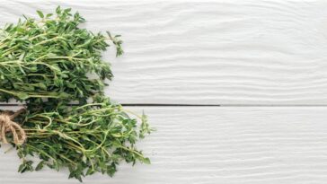 Aprenda como usar tomilho na decoração para renovar as energias da casa com Feng Shui