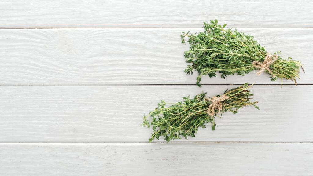 Aprenda como usar tomilho na decoração para renovar as energias da casa com Feng Shui