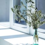 Meus vidros nunca mais ficaram opacos depois dessa mistura simples e barata