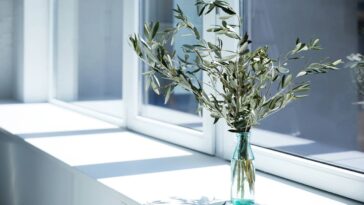 Meus vidros nunca mais ficaram opacos depois dessa mistura simples e barata