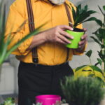 Plantas. - Créditos: depositphotos.com / VitalikRadko