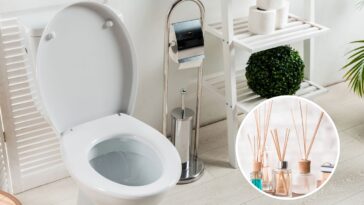 Banheiro - Créditos: depositphotos.com / HayDmitriy -Depositphotos.com / serezniy