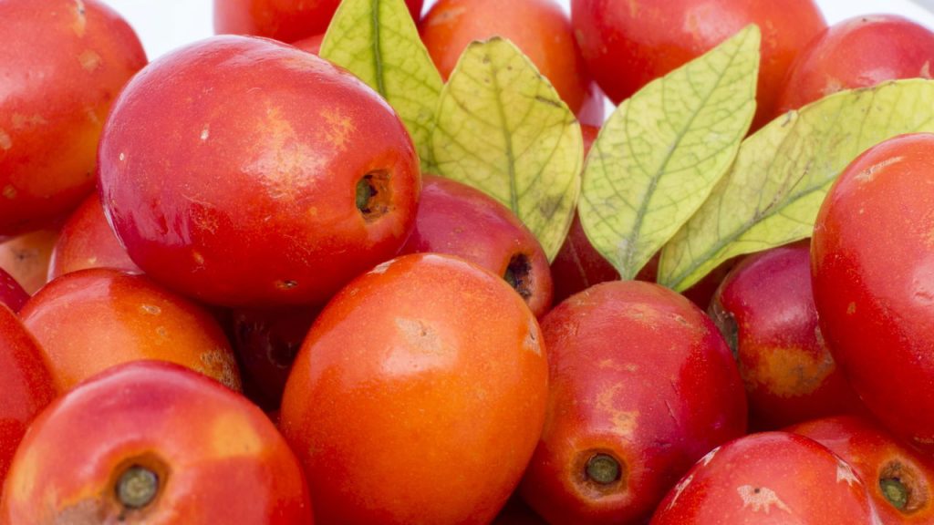 Ciriguelas – Créditos: depositphotos.com / mirceadobre78