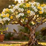 Árvore pequena que atrai passarinhos, dá flores perfumadas e não precisa de poda constante