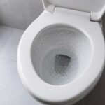 Colocar sal no vaso sanitário à noite antes de dormir: para que serve e por que você deve fazer isso toda semana
