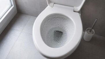 Colocar sal no vaso sanitário à noite antes de dormir: para que serve e por que você deve fazer isso toda semana