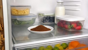 Colocar um pires com café moído na geladeira à noite: para que serve e como ela amanhece