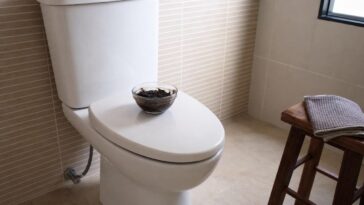 Jogar café usado no vaso sanitário: para que serve e como fazer