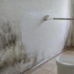 Passo a passo: como fazer uma tinta antimofo caseira para paredes úmidas sem precisar de produto industrializado
