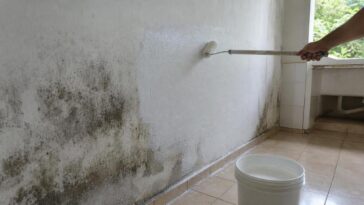 Passo a passo: como fazer uma tinta antimofo caseira para paredes úmidas sem precisar de produto industrializado